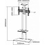 Neomounts  PLASMA-M1700ES TV Vloerstandaard