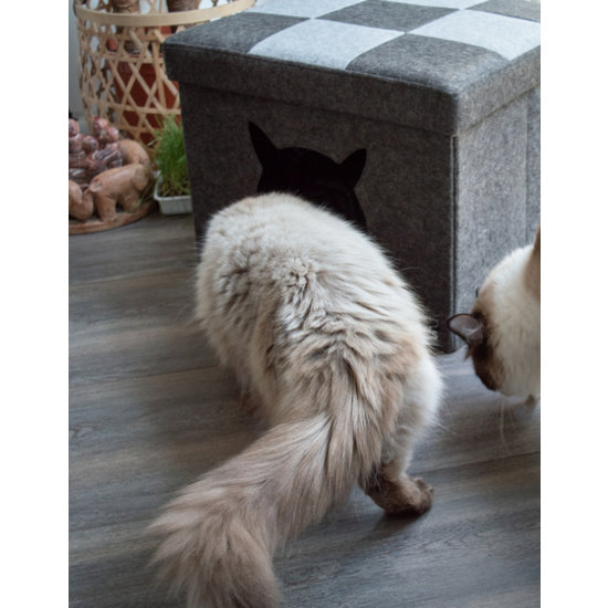 Let's kattenverblijf Kubus 50x45 cm