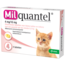 Milquantel tabletten kat of kitten tot 2 kg (4 stuks)