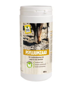 PsylliumZaad 800 gram