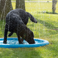 CoolPets Cooling Splash Pool Sproeier