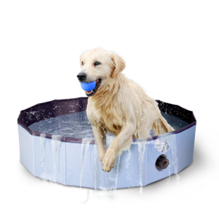 Hondenzwembad 100x25 cm
