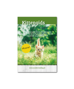 Kittengids - alles wat jij moet weten over kittens