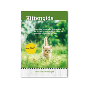 Kittengids - alles wat jij moet weten over kittens
