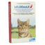 Milbemax tabletten kat 2 kg of zwaarder (2 stuks)