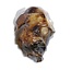 Antos 100% natuurlijke runderknokkel 16 cm