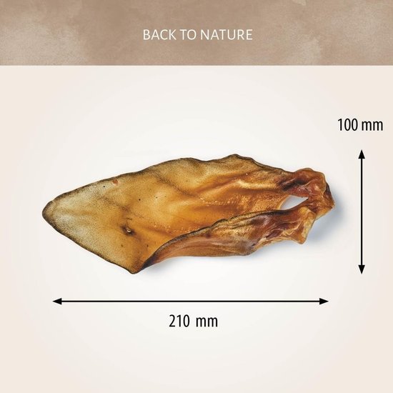 Antos natuurlijke runderoren met schelp 10 stuks