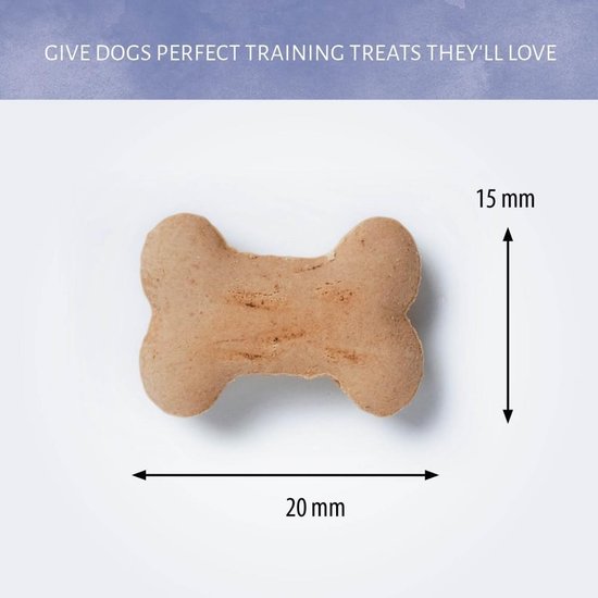 Antos Vega Micro Bones Vega hondenkoekjes Vanille 10 kg - grootverpakking