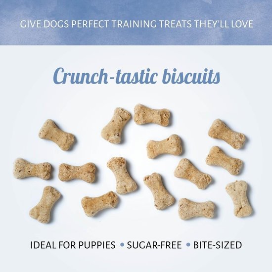 Antos Trainer hondenkoekjes 10 kg - grootverpakking