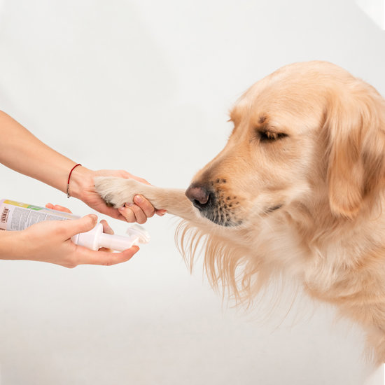 Nobleza dry shampoo Foam voor poot hond & pup 250 ml