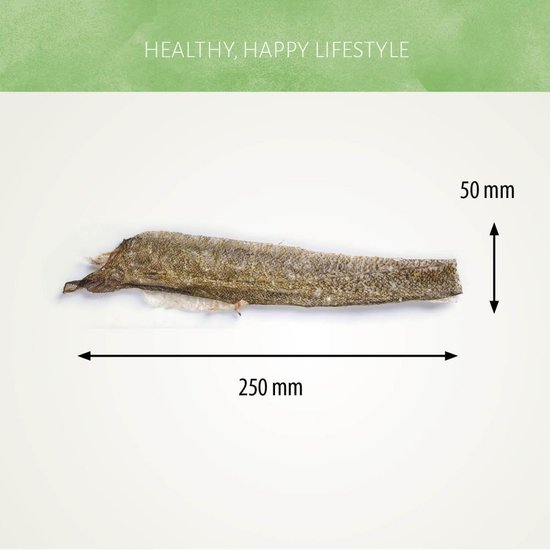 Antos natuurlijk gedroogde vis huid zalm hond 100 gram