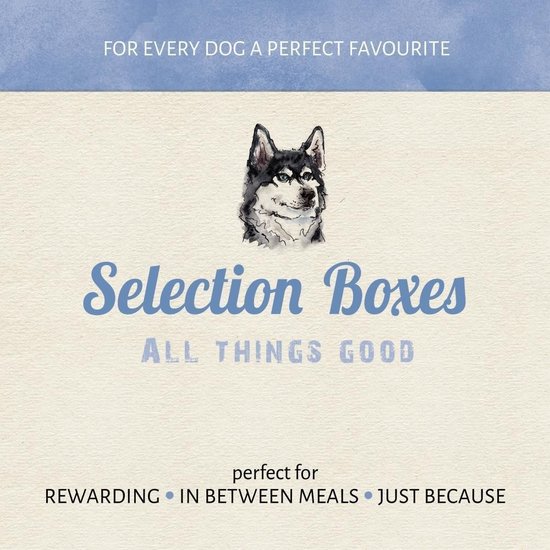 Antos cadeaubox voor honden Vis