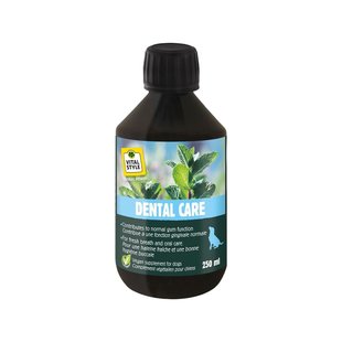 Dental Care 250 ml