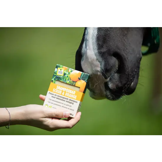 Vitalstyle Shampoobar Scrub & Orange - voor honden en paarden