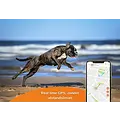 Weenect Weenect GPS tracker XS voor honden