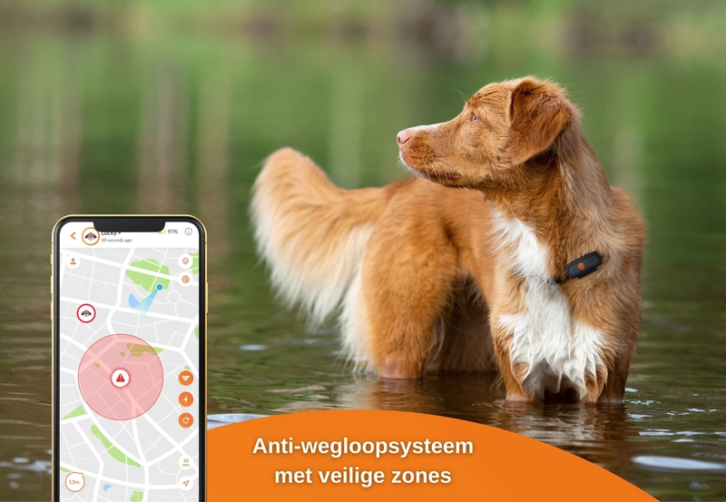 Weenect XS - Dog GPS tracker
