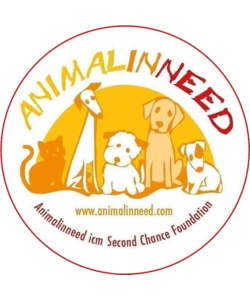 € 1 donatie Animal in Need