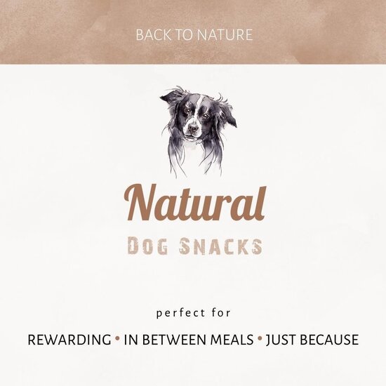 Antos vers Palermo ham been 490 gram (ca. 22 cm)