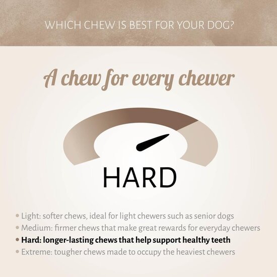 Antos vers Palermo ham been 490 gram (ca. 22 cm)