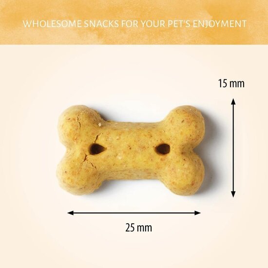 Antos puntzak hondenkoekjes Festive Mix 200 gram