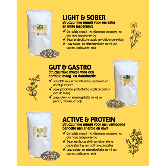 Vitalstyle Muesli Gut & Gastro proefzakje