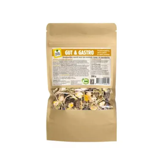 Vitalstyle Muesli Gut & Gastro proefzakje