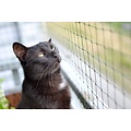 Trixie kattennet balkon 8x3 meter