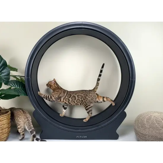 PETLUX katten loopwiel 2.0 zwart