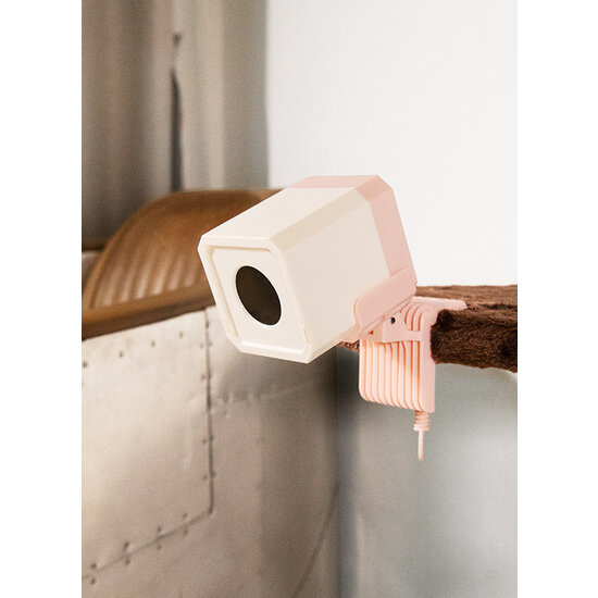 Pawise automatisch laserlicht voor katten en kittens