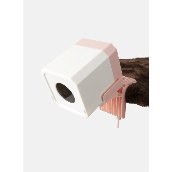 Pawise automatisch laserlicht voor katten en kittens