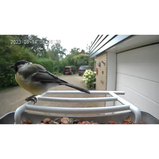 Vogel voederhuis met AI technologie + app