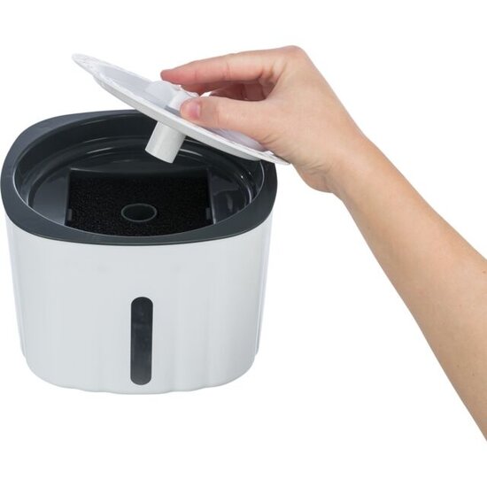 Trixie Flower Drinkfontein