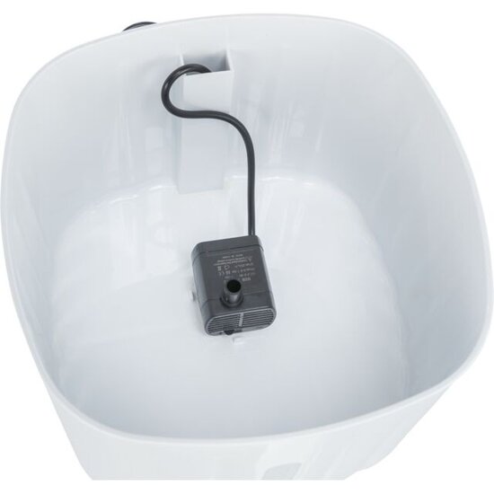 Trixie Flower Drinkfontein