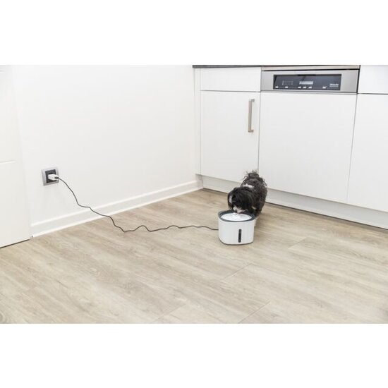 Trixie Flower Drinkfontein