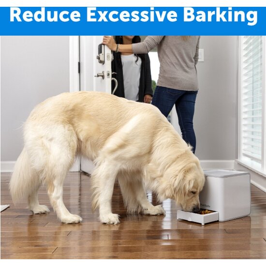 PetSafe® Teach & Treat beloningsafstandsbediening voor honden