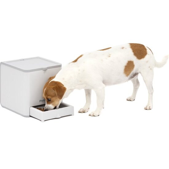 PetSafe® Teach & Treat beloningsafstandsbediening voor honden