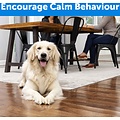 PetSafe® Teach & Treat beloningsafstandsbediening voor honden