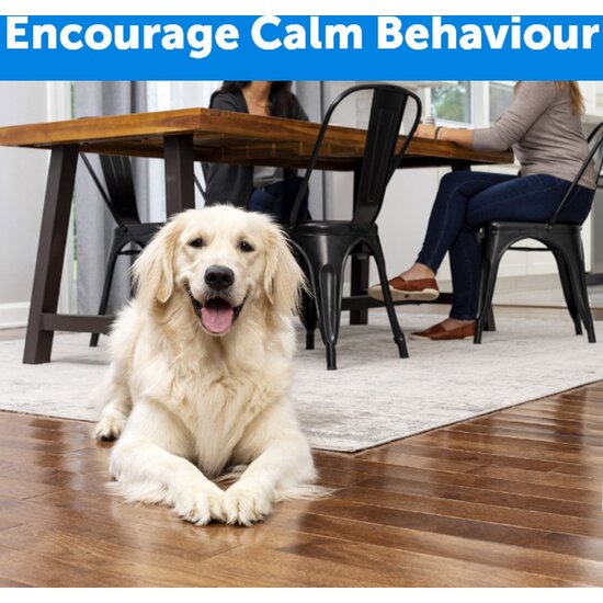 PetSafe® Teach & Treat beloningsafstandsbediening voor honden