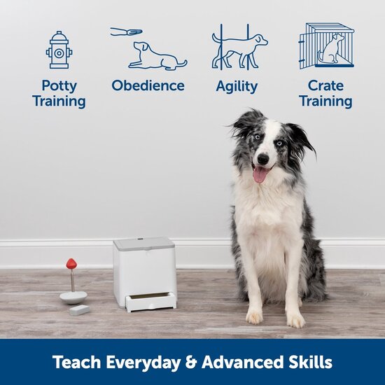 PetSafe® Teach & Treat beloningsafstandsbediening voor honden