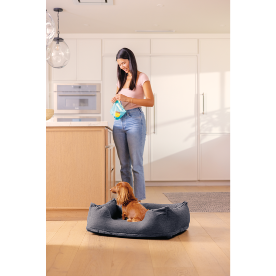 Intex klein opblaasbaar hondenbed (79x58x22 cm)