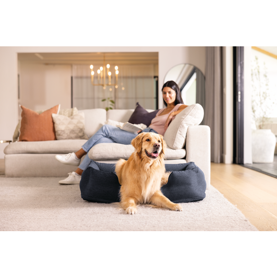 Intex middelgroot opblaasbaar hondenbed (97x74x23 cm)