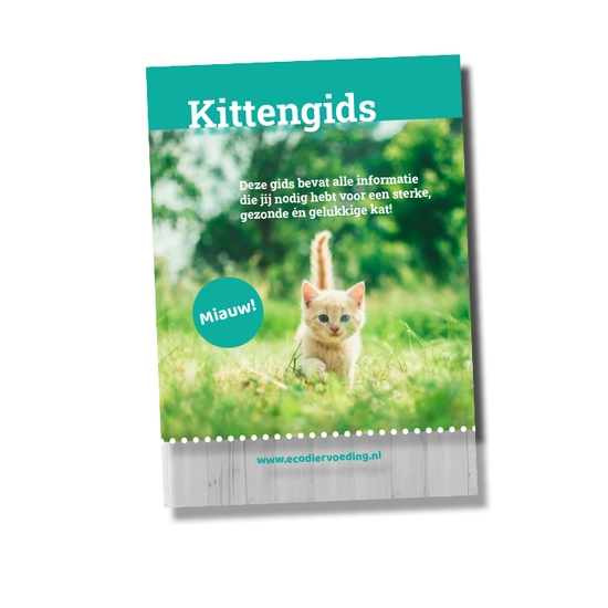 Ecodiervoeding.nl Kittengids