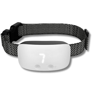 NoBark Plus diervriendelijke blafband hond S/M/L