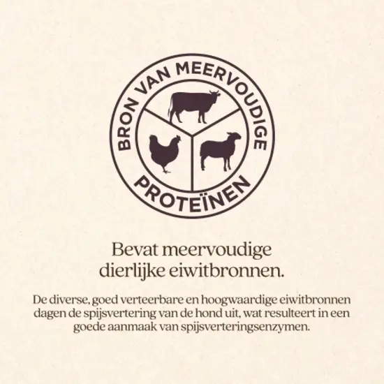 Vitalstyle Maag & Darmen hondenbrokken 3 kg