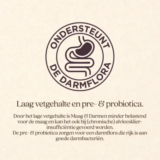 Vitalstyle Maag & Darmen hondenbrokken 3 kg