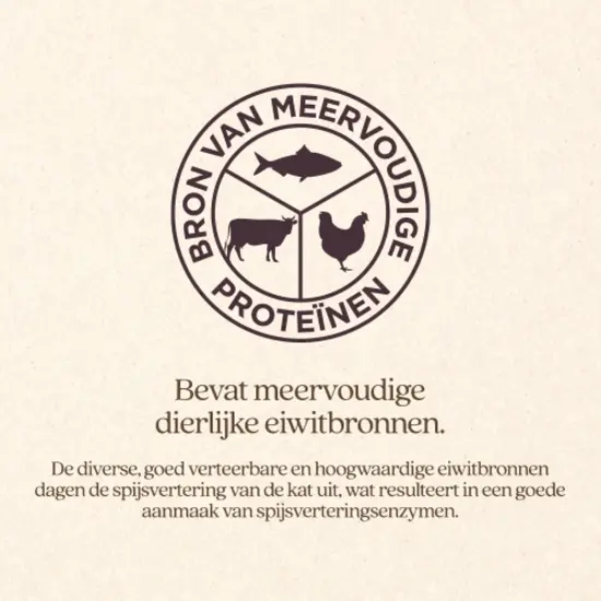 Vitalstyle Adult Original (rund) kattenbrokken 10 kg