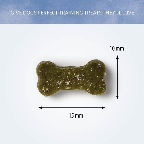 Antos Mintz Dental Mint Bones 40 stuks