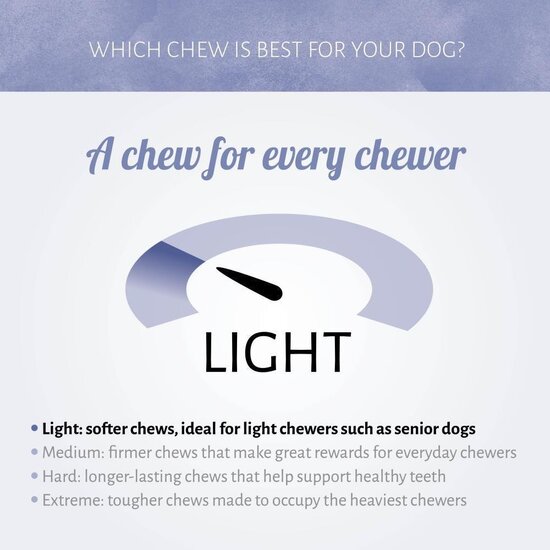 Antos Mintz Dental Mint Bones 40 stuks