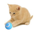 KiddyCat® Smart speelbal automatisch voor katten (blauw)