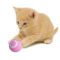 KiddyCat® Smart speelbal automatisch voor katten (roze)